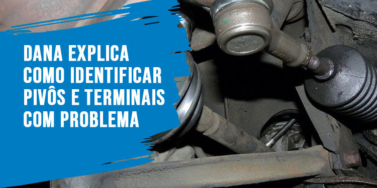 Dana dá dicas de como identificar pivôs e terminais com problema
