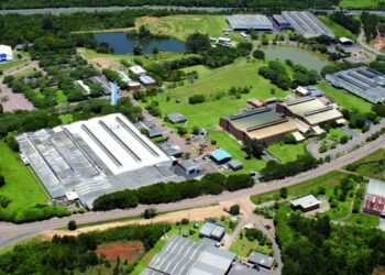 Dana Brasil: 77 anos de sucesso e inovação