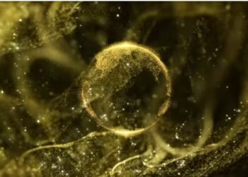 Prêmio iBest 2025: O “Oscar” da internet brasileira em busca dos melhores do digital