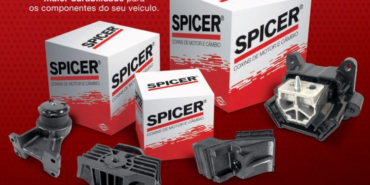Spicer alerta como Coxins desgastados podem comprometer a segurança de caminhoneiros nas estradas